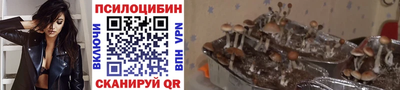 Псилоцибиновые грибы мухоморы  наркотики  Сосногорск 